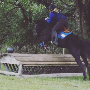 Meet your Posher, Daisy